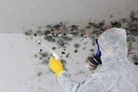 Best Mold Prevention Services  in Wilsonville, OR